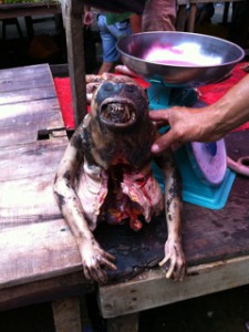 photo of monkey torso belen market peru