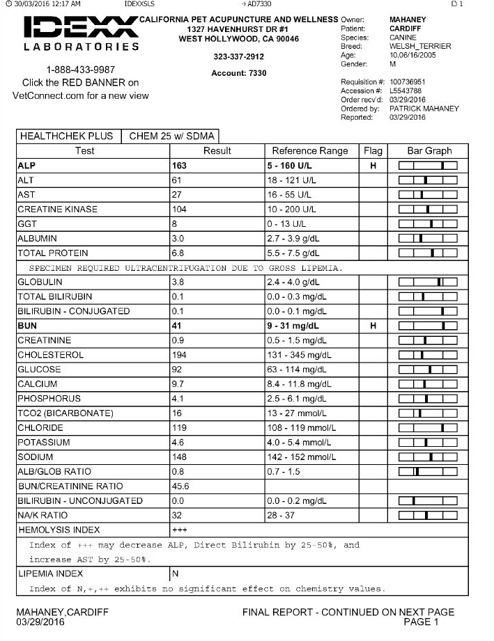 Staging For Canine And Feline Cancer Patients The Blood Testing Stage