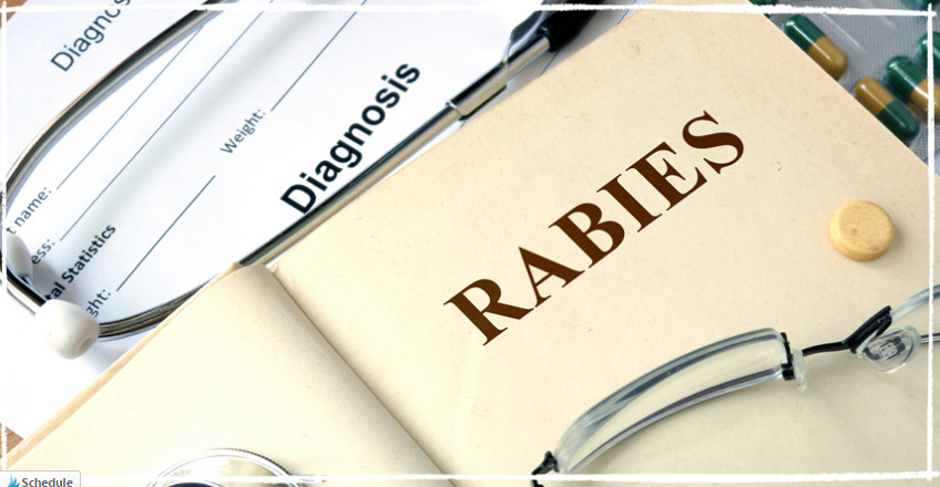 Rabies Awareness and Prevention